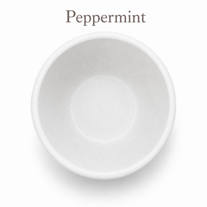 Peppermint Small FURever Bowl — bird's-eye view