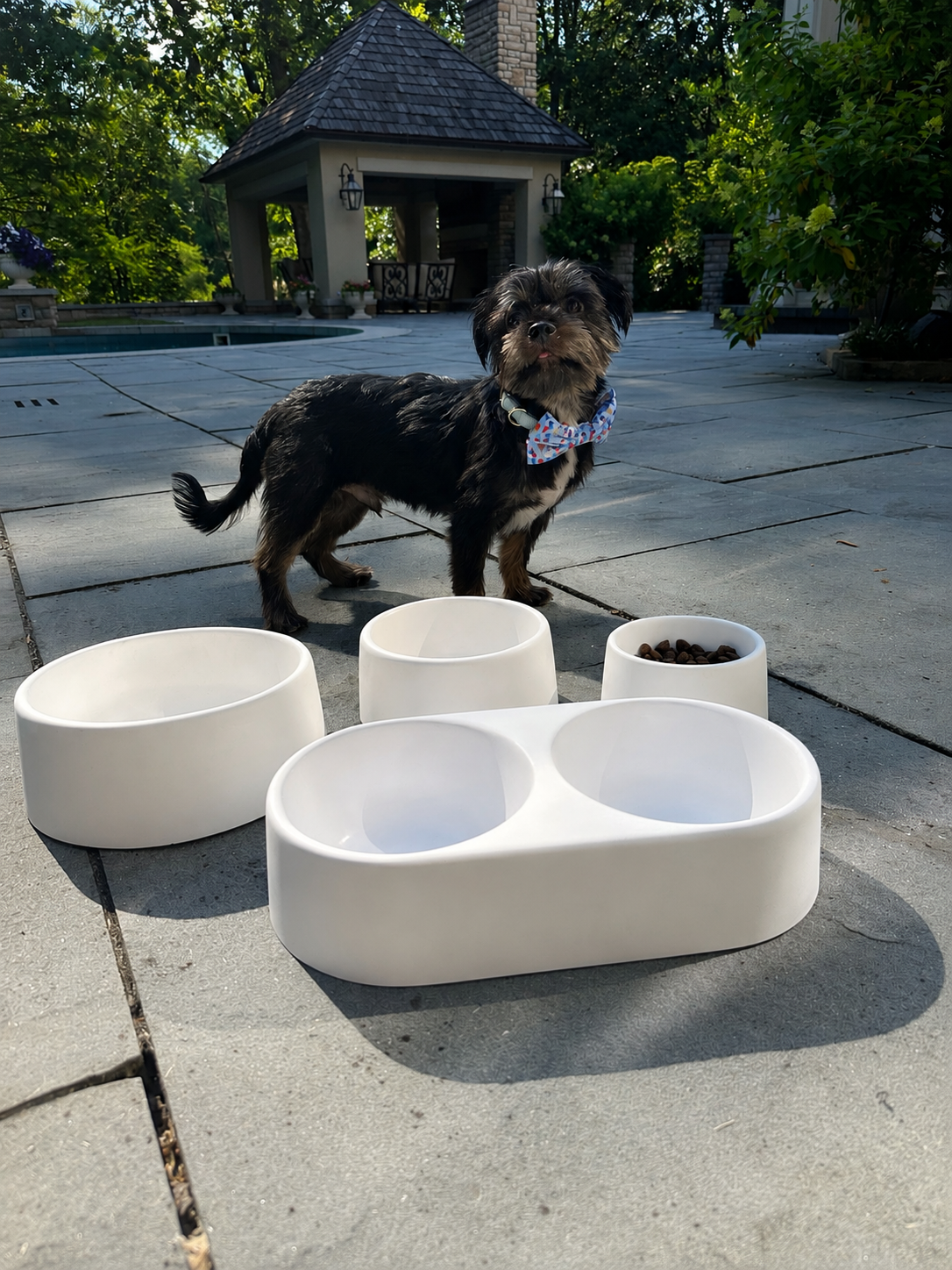 Lifestyle - Dog with FURever Bowls